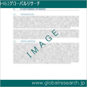 グローバルリサーチ調査レポートのイメージ